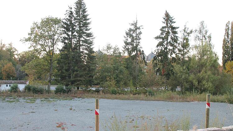 Bei der Neugestaltung der Fischerbrache und des Festplatzes in der Schlossallee sollen auch Blickachsen zum Wasserschloss geschaffen werden.Herbert Fischer