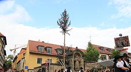 Vorschaubild