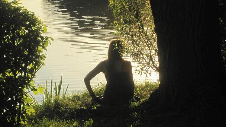 August: Zum elften Mal gab es heuer bei Klassik am See Musik unter freiem Himmel am Dechsendorfer Weiher (Landkreis Erlangen-Höchstadt) Foto: Michael Busch