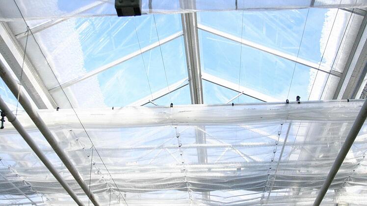 Ein Tagesschirm öffnet sich und gibt den Blick auf das schneebedeckte Gewächshausdach frei.