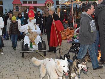 Nikolaus Ralf Hartmann suchte sich heuer einen Hundeschlitten aus, um zum Weihnachtsmarkt nach Maroldsweisach zu kommen. Fotos: Gerhard Schmidt