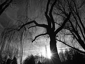 Die Teufelsmühle im Vorspessart im Kreis Aschaffenburg ist ein sagenumrankter Ort. Was steckt hinter den Geschichten rund um diesen Ort - ist er verflucht? Foto: Pixabay