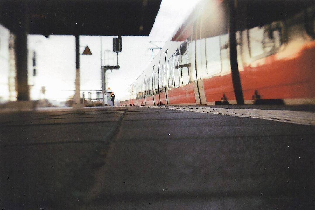 Die schönsten Frühlingsfotos aus Nürnberg und Umgebung