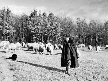 Mit Schäfer Josef Strauß beginnt in Eichelsee die Linie Strauß.  Archiv: Hildegunde Drescher