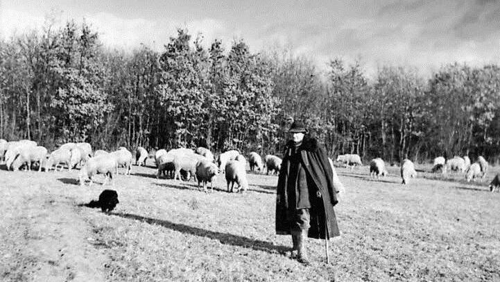 Mit Schäfer Josef Strauß beginnt in Eichelsee die Linie Strauß.  Archiv: Hildegunde Drescher