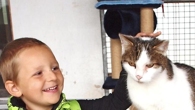 Der vierj&auml;hrige Tim aus Maineck, der zu Hause zwei Katzen hat, fand auch im Tierheim gleich einen Sofatiger, der sich &uuml;ber seine Zuneigung freute. Foto: Alfred Thieret