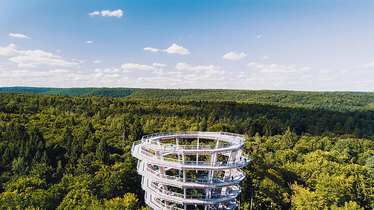 Der Baumwipfelpfad im Steigerwald:  Hier kannst du den Ebracher Forst auf einem 1150 Meter langen Holzpfad entdecken.