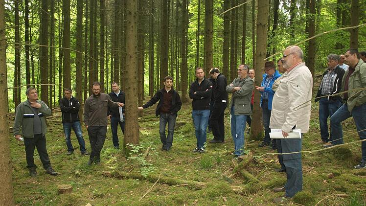 Exkursion in Oerlenbacher Gemeindewald mit Forstdirektor Wilhelm Schmalen und Förster Benjamin Winter. Foto: Stefan Geiger