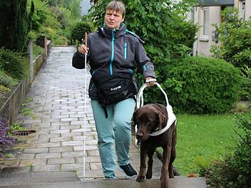 Labrador Lion ist ein treuer Wegbegleiter. Er hilft Bianca Kellerer auch beim Treppensteigen.