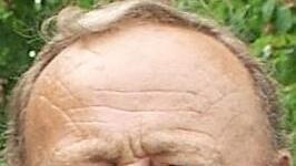 Wolfgang Albert