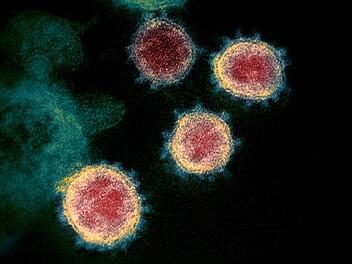 Coronavirus