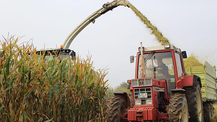 Impressionen von der Maisernte bei Ebensfeld. Foto: Markus Häggberg
