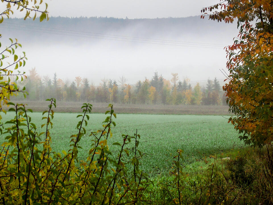 Fotos Konrad Thomann