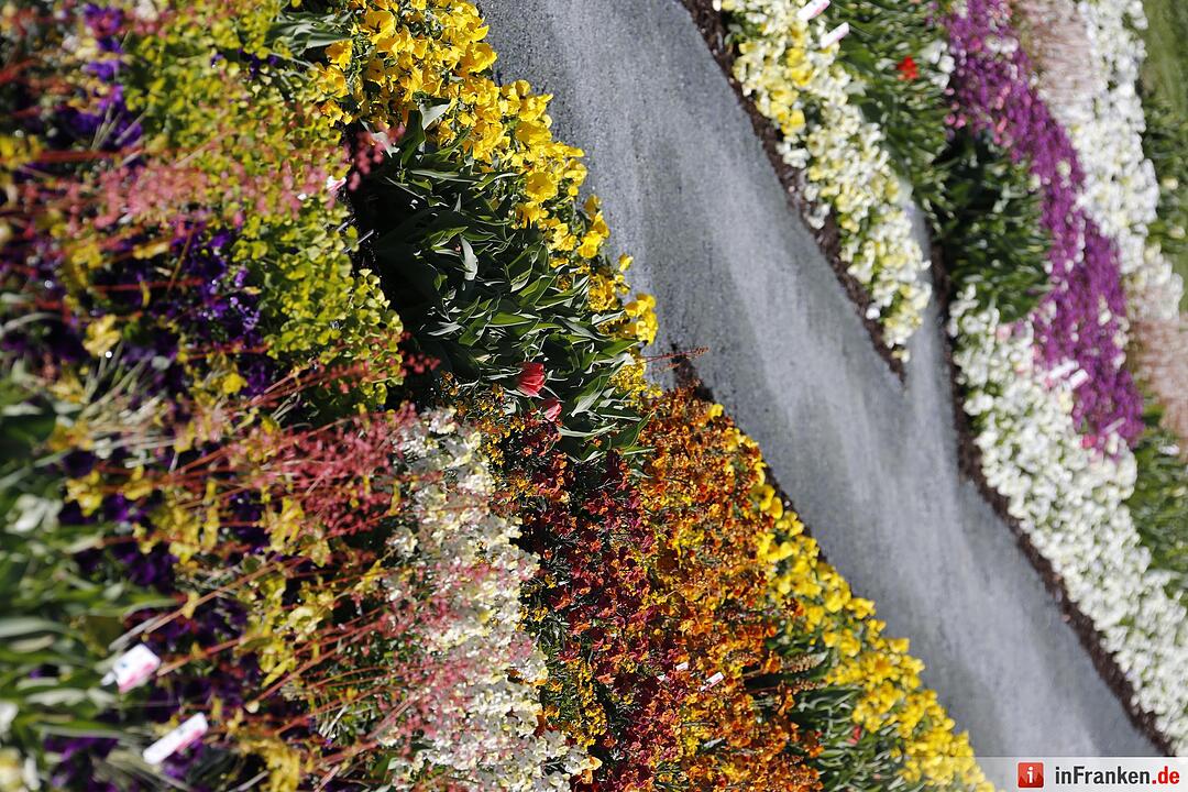 Blumen und mehr: Die Landegartenschau 2016 Bayreuth