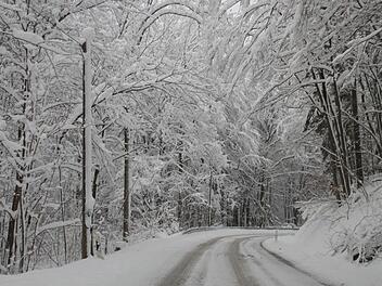 Der Schnee verzaubert die Wälder - und macht die Straßen glatt, wie hier, zwischen Krögelhof und Frauendorf. Fotos: Matthias Einwag