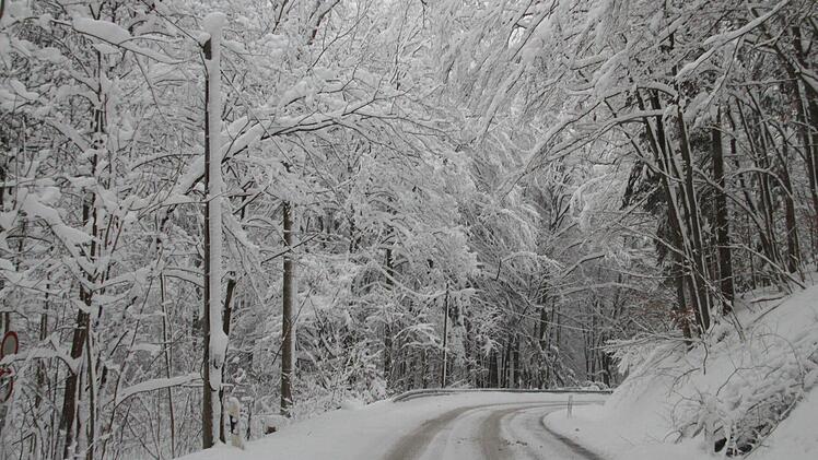 Der Schnee verzaubert die Wälder - und macht die Straßen glatt, wie hier, zwischen Krögelhof und Frauendorf. Fotos: Matthias Einwag