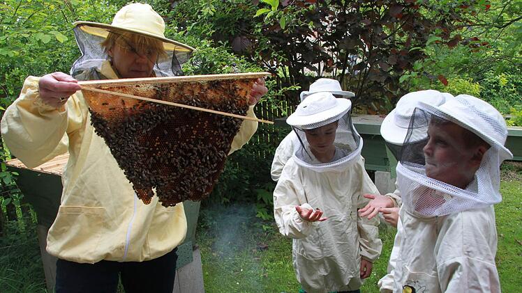Für die Schulkinder war der Umgang mit den Bienen zunächst eine aufregende Sache. Unter der Regie einer Imkerin gehen sie ohne Angst an die Völker heran. Foto: Ramona Popp