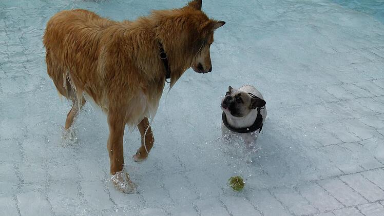Groß trifft klein  Foto: Marion Krüger-Hundrup