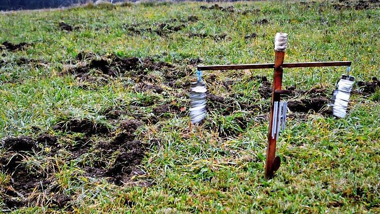 Die Felder und Wiesen rund um das Anwesen Tempenberg sind komplett von den Wildschweinen umgepflügt und verwüstet worden - ein großes Thema bei der Bürgerversammlung in Steinwiesen. Foto: privat