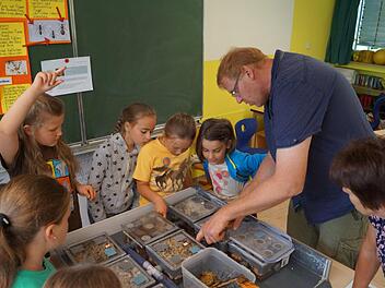 Fasziniert beobachteten die Schüler der 3. Klasse der Grundschule Burglauer die von Oliver Geisler, Verhaltensbiologe und Ameisenforscher vom Biozentrum der Universität Würzburg, vorgeführten Blattschneideameisen.  Foto: Manfred Mellenthin