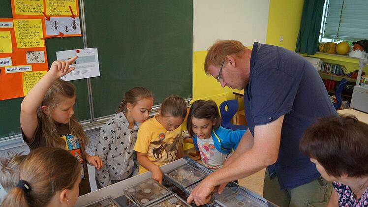 Fasziniert beobachteten die Schüler der 3. Klasse der Grundschule Burglauer die von Oliver Geisler, Verhaltensbiologe und Ameisenforscher vom Biozentrum der Universität Würzburg, vorgeführten Blattschneideameisen.  Foto: Manfred Mellenthin