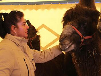 Die Organisatorin des Circus Renz, Tanja Köllner, sucht vor allem für ihre Tiere noch eine geeignetere Unterstellmöglichkeit für die kalte Jahreszeit. Foto: Martin Kreklau