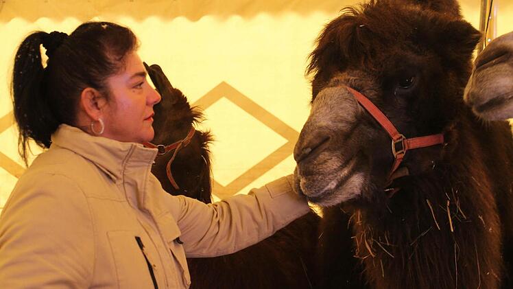 Die Organisatorin des Circus Renz, Tanja Köllner, sucht vor allem für ihre Tiere noch eine geeignetere Unterstellmöglichkeit für die kalte Jahreszeit. Foto: Martin Kreklau