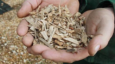 Für die Hackschnitzel-Herstellung kann sämtliches Holz genutzt werden. Dieses muss nur klein gehäckselt werden.