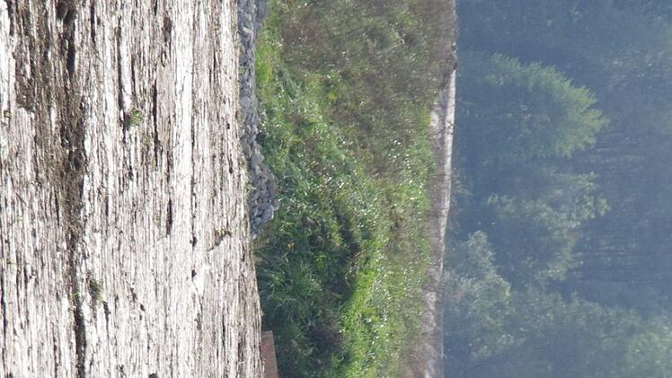 Bauarbeiten an der Umgehung Zeyern. Foto: Marco Meißner
