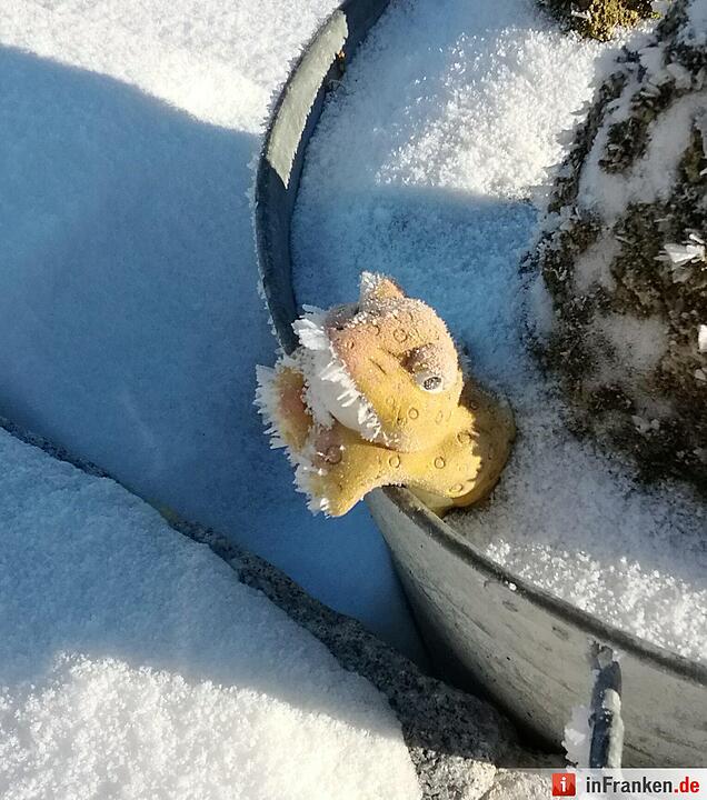 Eis und Schnee in Franken - die schönsten Winterleserfotos