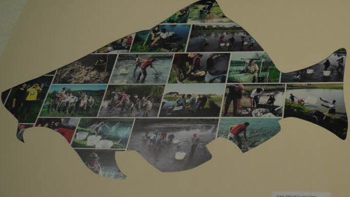 Foto: Pauline Lindner