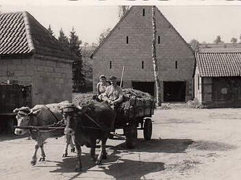 Zahlreiche historische Aufnahmen zeigen Frankenbrunn in den früheren Jahren. Foto: Privat