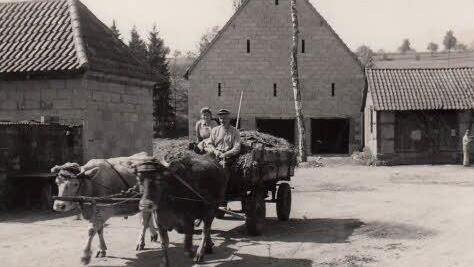 Zahlreiche historische Aufnahmen zeigen Frankenbrunn in den früheren Jahren. Foto: Privat