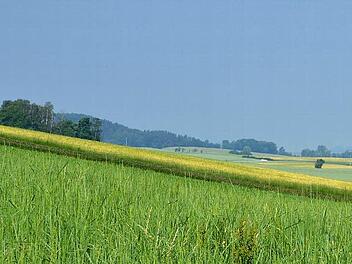 Der Hähnles, der kleine Wald links am Bildrand, ist im Weg und müsste für den Flugplatz gerodet werden. Frage ist, inwieweit ein sicherer Flugbetrieb trotz des Höhenrückens Callenberger Forst möglich ist. Der Gutachter der Projektgesellschaft Verkehrslandeplatz ist der Meinung, es würde genügen, an Hahnberg und Buchleite Leuchtfeuer zu installieren. Diese beiden Hügel liegen in den Abflugrichtungen und verlangen somit einen steileren Abflug, als wenn das Gelände den Richtlinien entsprechen wü...
