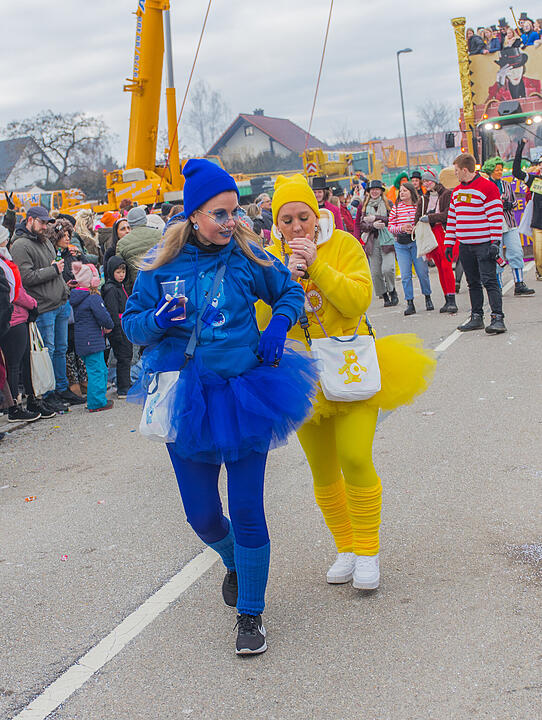 Wildes Faschingstreiben in Allersberg!