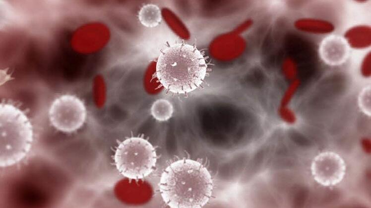 So sehen Leukämiezellen aus. Foto: DKMS