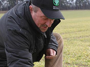 Wilfried Löwinger betrachtet die Entwicklung der Wintergerste auf seinem Acker. Noch ist alles im grünen Bereich, doch die Pflanzen brauchen jetzt dringend einen kräftigen Regen.  Foto: Jochen Nützel