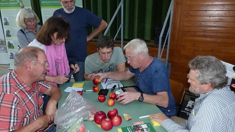 Fünf bis sechs Früchte ihrer unbekannten Apfelsorte brachten Frauen, Männer und Kinder mit, um sie vom Pomologen Wolfgang Subal (2. von rechts) bestimmen zu lassen.Klaus-Peter Wulf