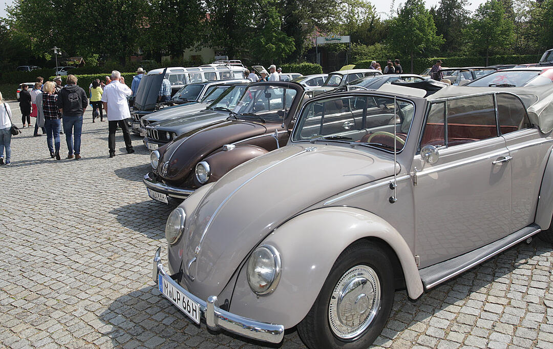 Mainfestival/Stadtschoppen