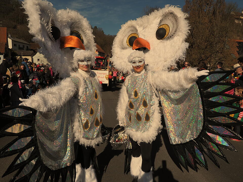 Fasching 2025 im Landkreis Bad Kissingen!