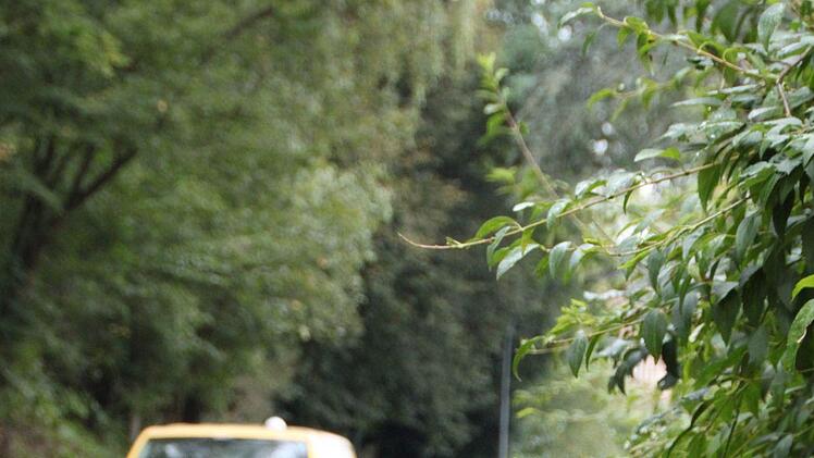 Das Stück zwischen dem oberen Eingang und dem Beginn des Weges hinunter zum Washington Platz haben die Arbeiter wohl vergessen. Foto: Ulrike Müller