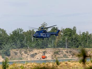 Waldbrand Gohrischheide