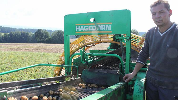Frank Eschenbacher packt bei der Ernte natürlich mit an.