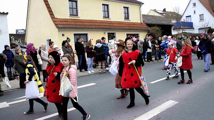 Impressionen vom Faschingsumzug der Weisendorfer Blummazupfer. Foto: Richard Sänger