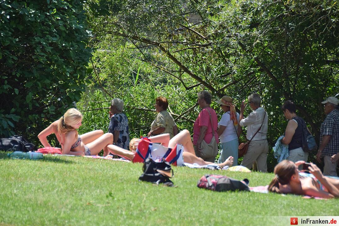 So genießt Franken den Sommer