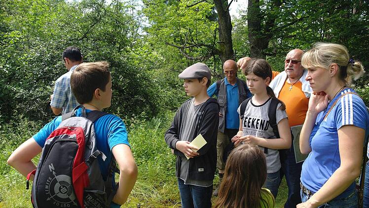 Werberger Treffen 2016 Foto: Stephanie Elm