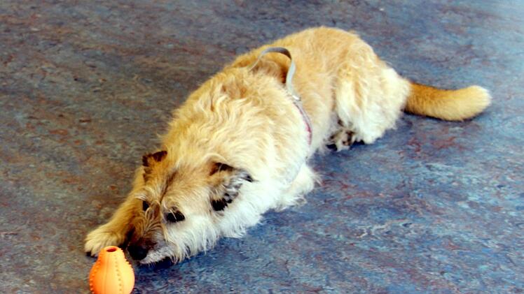 Foto: Richard Sänger