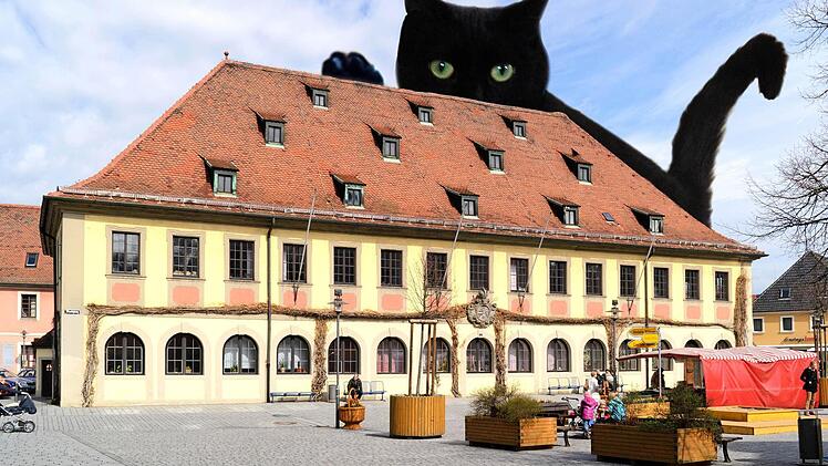 Der schwarze Kater greift nach dem Chefsessel im Lichtenfelser Rathaus