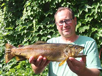 Peter Krüger holte beim Altstadtfischen den dicksten Brocken aus dem Weißen Main: Drei Brücken vor der Kulmbacher Bank biss eine 45 Zentimeter lange Forelle an. Foto: Sonja Adam