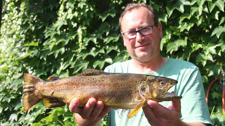 Peter Krüger holte beim Altstadtfischen den dicksten Brocken aus dem Weißen Main: Drei Brücken vor der Kulmbacher Bank biss eine 45 Zentimeter lange Forelle an. Foto: Sonja Adam